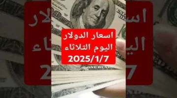 سعره يتخطى المتوقع.. تحديث جديد لصرف الدولار داخل البنوك المصرية حاليًا
